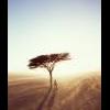 Tatane44 Photo